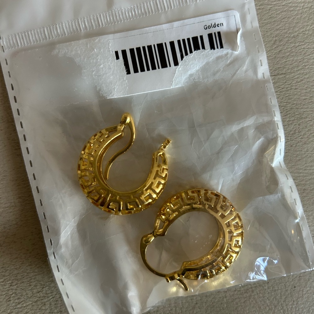 Elegant Gold Hoop Earrings